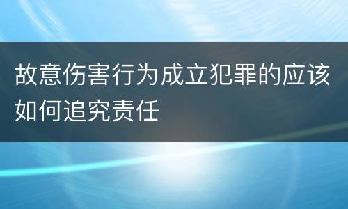 故意伤害行为成立犯罪的应该如何追究责任