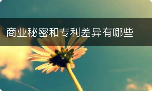 商业秘密和专利差异有哪些