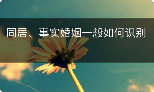 同居、事实婚姻一般如何识别