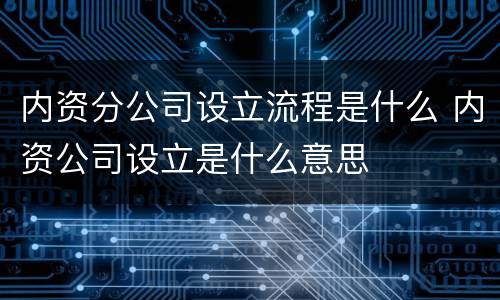 内资分公司设立流程是什么 内资公司设立是什么意思