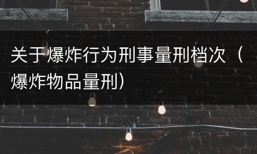 关于爆炸行为刑事量刑档次（爆炸物品量刑）