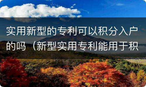 实用新型的专利可以积分入户的吗（新型实用专利能用于积分落户吗）