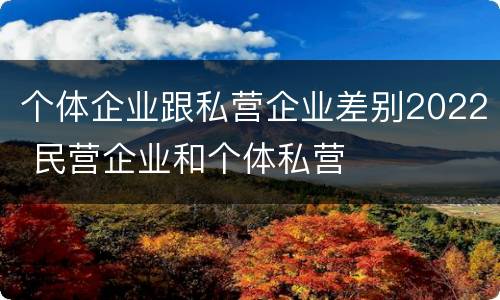 个体企业跟私营企业差别2022 民营企业和个体私营