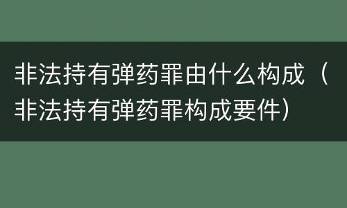 非法持有弹药罪由什么构成（非法持有弹药罪构成要件）