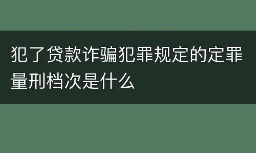 犯了贷款诈骗犯罪规定的定罪量刑档次是什么