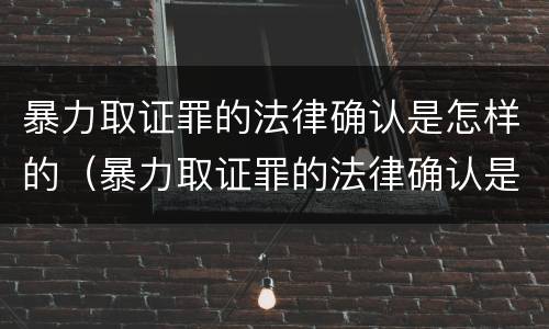 暴力取证罪的法律确认是怎样的（暴力取证罪的法律确认是怎样的程序）