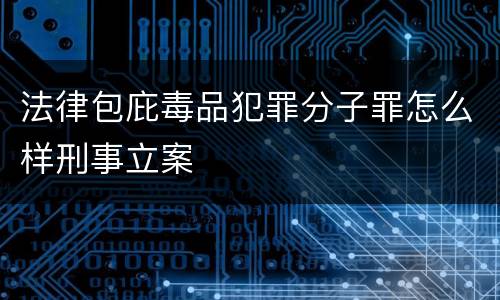 法律包庇毒品犯罪分子罪怎么样刑事立案