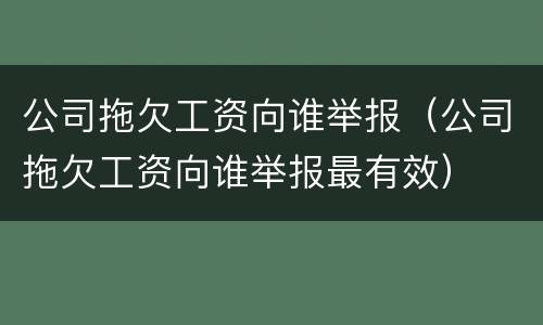 公司拖欠工资向谁举报（公司拖欠工资向谁举报最有效）