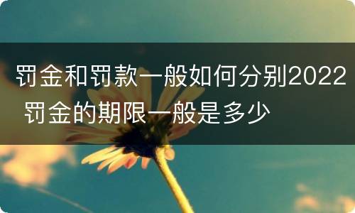 罚金和罚款一般如何分别2022 罚金的期限一般是多少