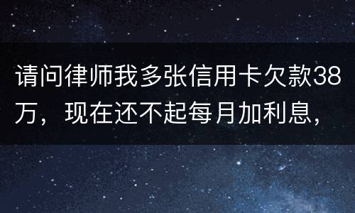 请问律师我多张信用卡欠款38万，现在还不起每月加利息，我怎么可以协商还银行
