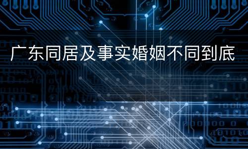 广东同居及事实婚姻不同到底