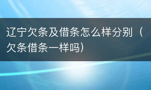 辽宁欠条及借条怎么样分别（欠条借条一样吗）