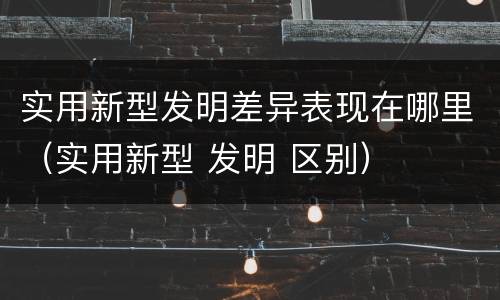 实用新型发明差异表现在哪里（实用新型 发明 区别）