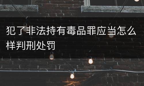 犯了非法持有毒品罪应当怎么样判刑处罚