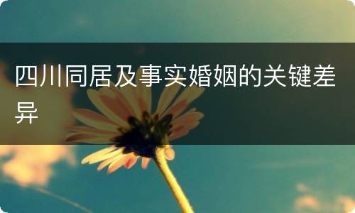 四川同居及事实婚姻的关键差异