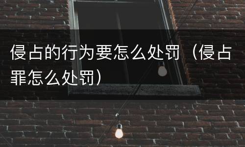 侵占的行为要怎么处罚（侵占罪怎么处罚）