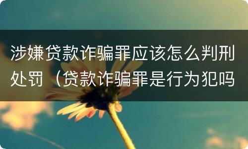 涉嫌贷款诈骗罪应该怎么判刑处罚（贷款诈骗罪是行为犯吗）