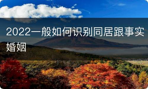 2022一般如何识别同居跟事实婚姻