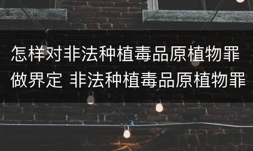 怎样对非法种植毒品原植物罪做界定 非法种植毒品原植物罪情节严重的三种情形是什么