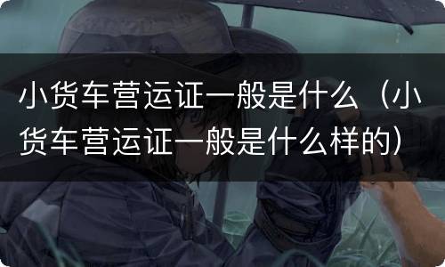 小货车营运证一般是什么（小货车营运证一般是什么样的）