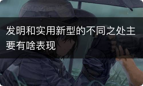 发明和实用新型的不同之处主要有啥表现