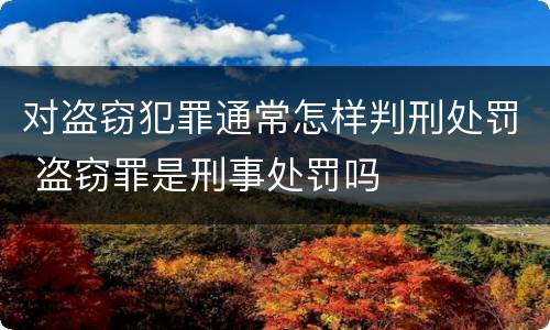对盗窃犯罪通常怎样判刑处罚 盗窃罪是刑事处罚吗