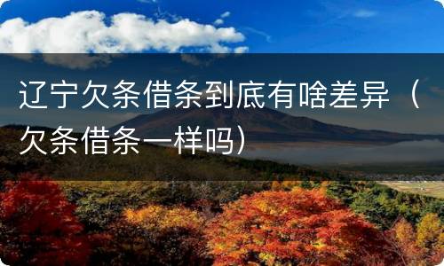 辽宁欠条借条到底有啥差异（欠条借条一样吗）