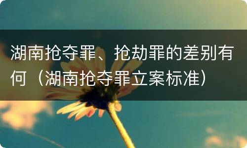 湖南抢夺罪、抢劫罪的差别有何（湖南抢夺罪立案标准）