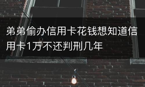 弟弟偷办信用卡花钱想知道信用卡1万不还判刑几年
