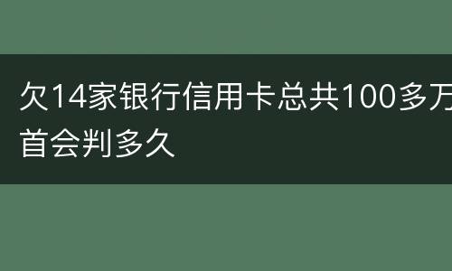 欠14家银行信用卡总共100多万首会判多久