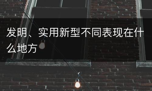 发明、实用新型不同表现在什么地方