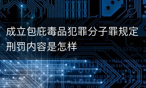 成立包庇毒品犯罪分子罪规定刑罚内容是怎样