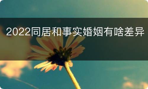 2022同居和事实婚姻有啥差异