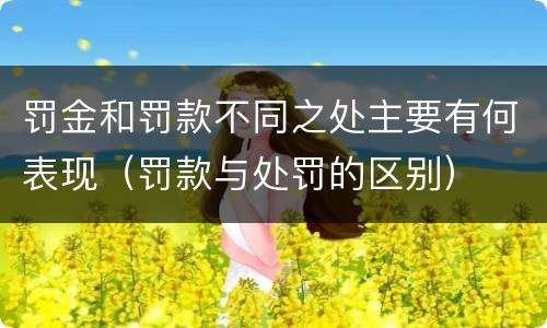 罚金和罚款不同之处主要有何表现（罚款与处罚的区别）