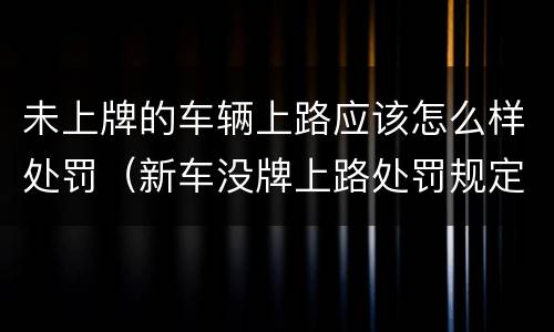 未上牌的车辆上路应该怎么样处罚（新车没牌上路处罚规定）