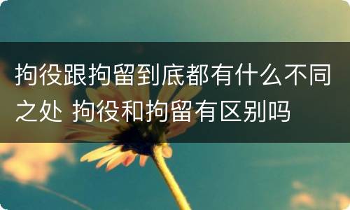 拘役跟拘留到底都有什么不同之处 拘役和拘留有区别吗