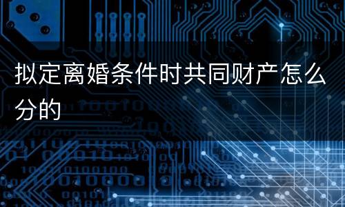 拟定离婚条件时共同财产怎么分的