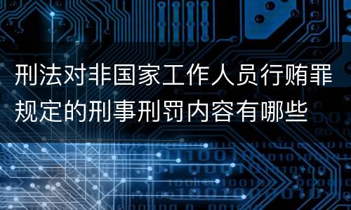 刑法对非国家工作人员行贿罪规定的刑事刑罚内容有哪些