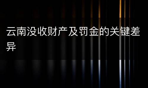 云南没收财产及罚金的关键差异
