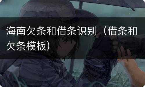 海南欠条和借条识别（借条和欠条模板）