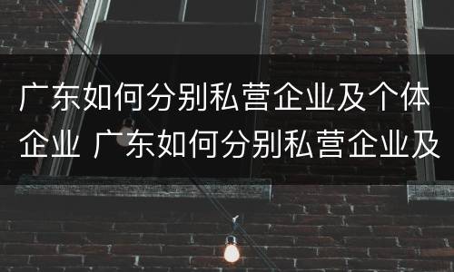 广东如何分别私营企业及个体企业 广东如何分别私营企业及个体企业和公司