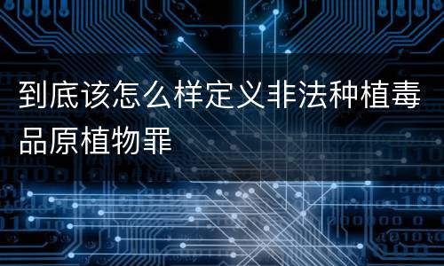 到底该怎么样定义非法种植毒品原植物罪