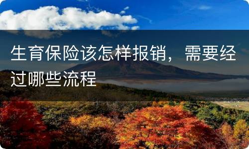 生育保险该怎样报销，需要经过哪些流程