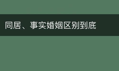 同居、事实婚姻区别到底