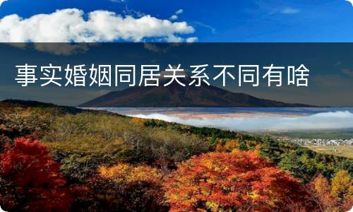 事实婚姻同居关系不同有啥