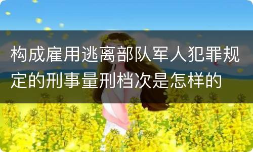 构成雇用逃离部队军人犯罪规定的刑事量刑档次是怎样的