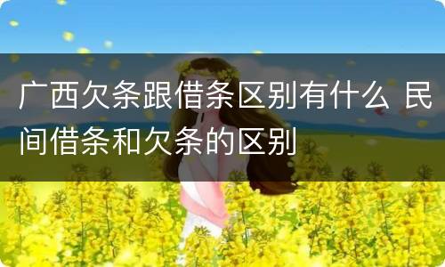 广西欠条跟借条区别有什么 民间借条和欠条的区别