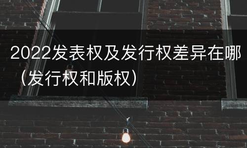 2022发表权及发行权差异在哪（发行权和版权）