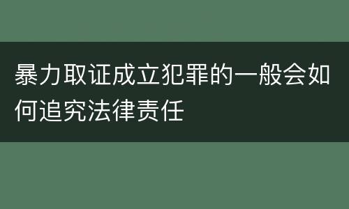 暴力取证成立犯罪的一般会如何追究法律责任