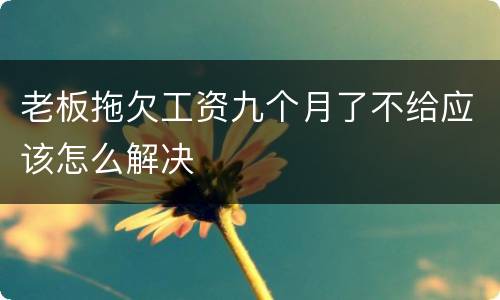 老板拖欠工资九个月了不给应该怎么解决